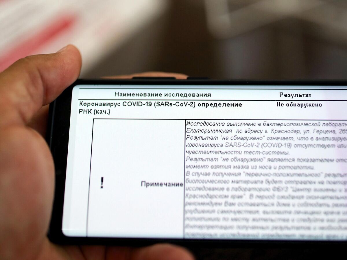 как выглядит пцр тест на коронавирус. справка из китая коронавирус. пцр тест в китай. пцр тест в китай. что такое пцр-тест на коронавирус covid-19.