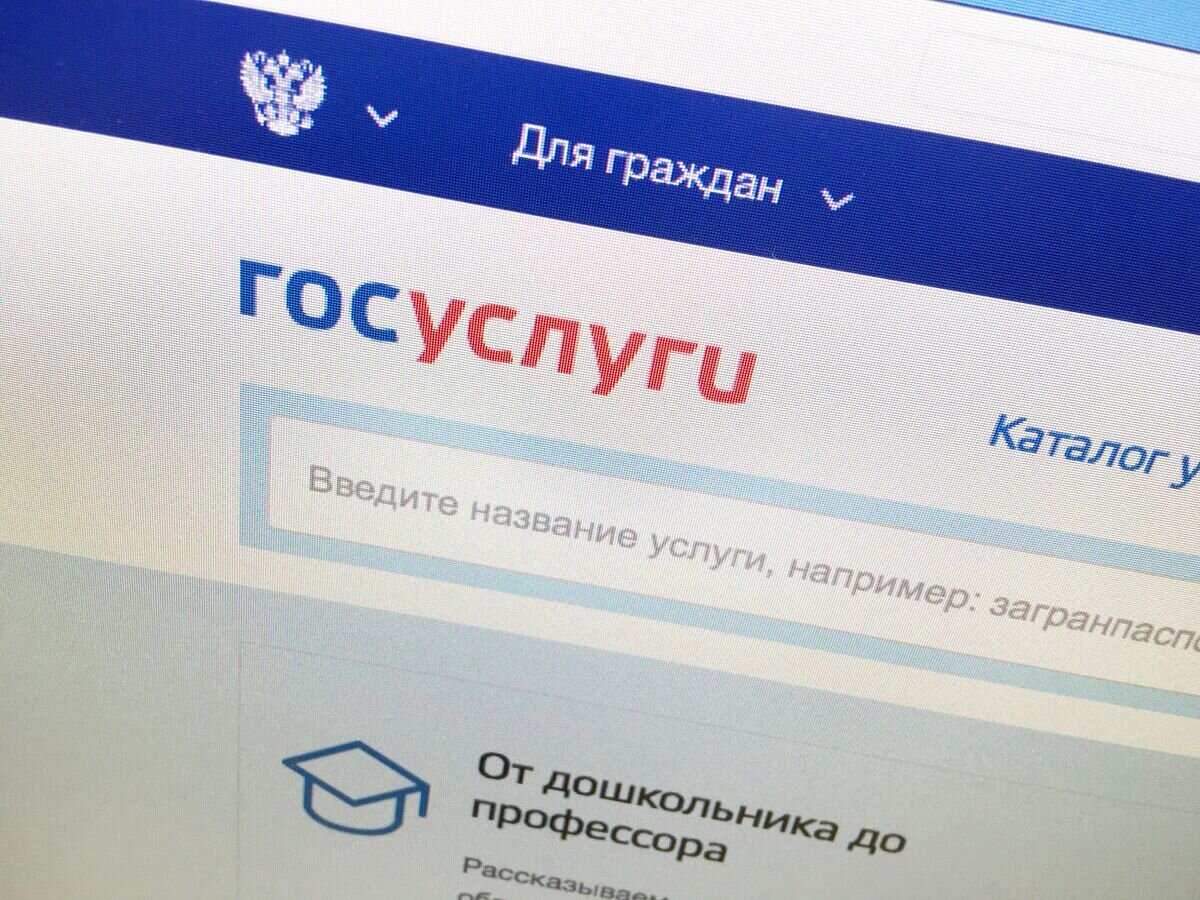 зайти через госуслуги. госуслуги проверьте подключение к интернету. сколько идет проверка данных на госуслугах. через госуслуги. госуслуги ип.