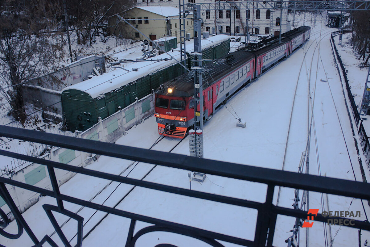 Охранники обнаружили собаку, сфотографировали ее и высадили на одной из станций.  Фото: ФедералПресс / Дмитрий Барков