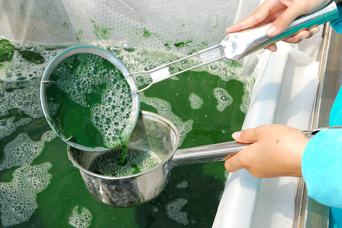 Сопровождающего лица это. Транспортировка пищевых продуктов. Концепция оптимального питания тутельян. Приём пищевых продуктов. Лица сопровождающие продовольственное сырье и пищевую продукцию.