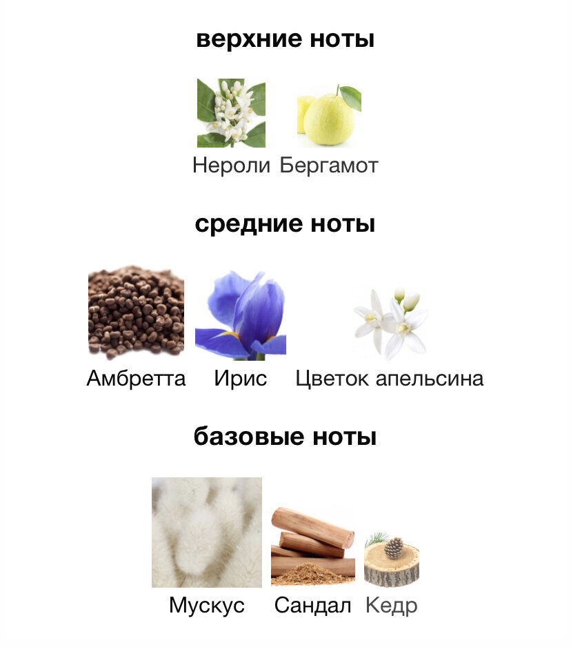 Структура профессиональной компетентности педагога. Содержание пс. Содержание пс. Содержание пс. Надзор за безопасной эксплуатацией пс.