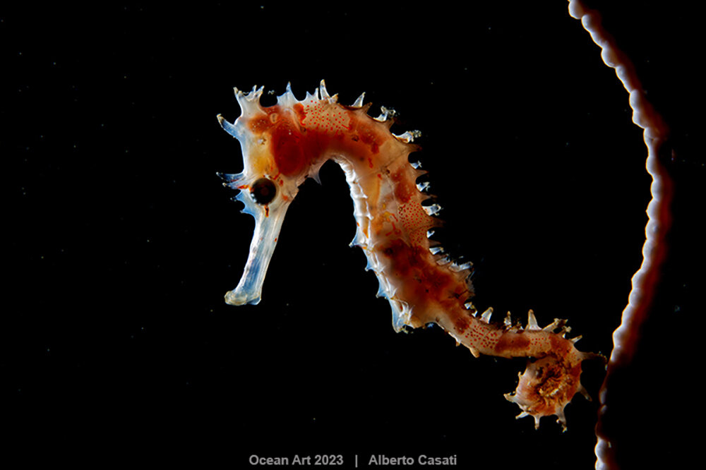    Фото: Alberto Casati