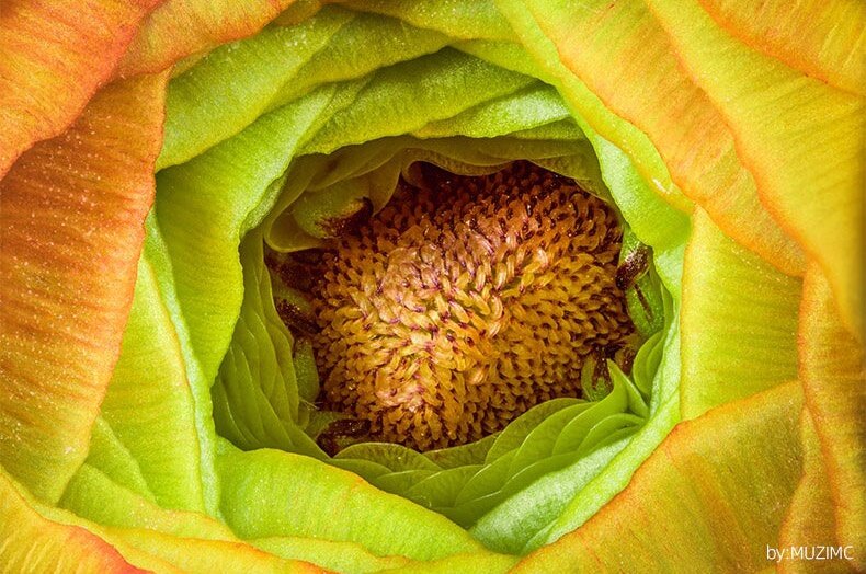 Коннектор для проводов для врезки. Линейка мм см дм. С помощью 2 5 мм. Линейка 2 см. 1 мм на линейке.