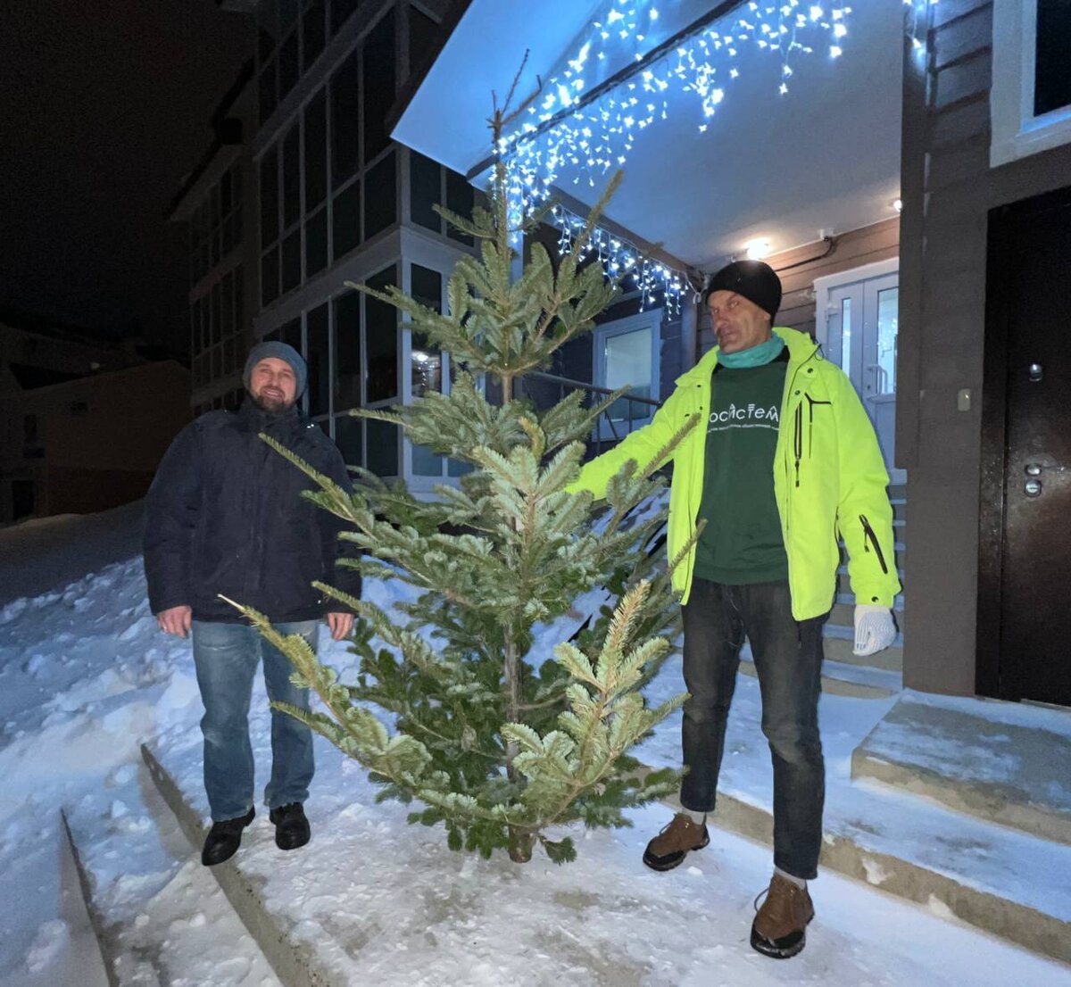 Ёлки 7 фильм. Есть ли елки 4. Ёлки фильм 2010. Выбираем елку. Ель версальская макс кристмас.