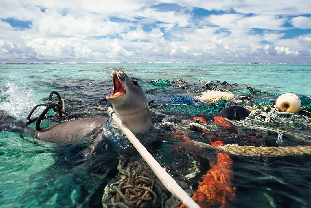 Влияние океана на человека. Загрязнение мирового океана. Загрязнение вод мирового океана. Экология морей и океанов. Экологические проблемы океана.