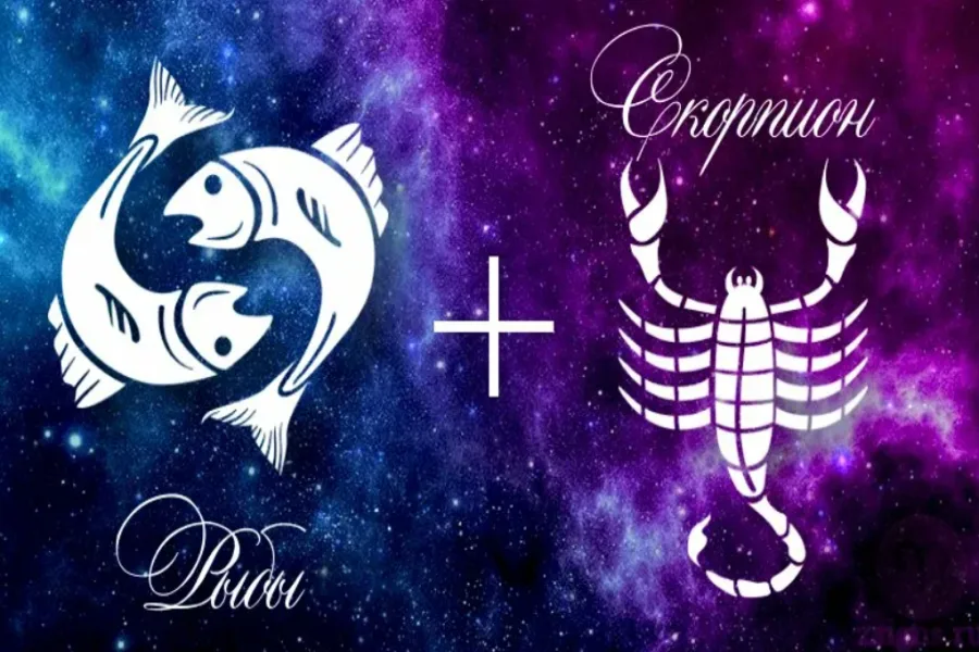 Совместимость знаков зодиака в любви весы женщина и мужчина овен. Совместимы ли близнецы и скорпион. Совместить скорпион+близнец. Совместимость знаковзожиака. Мужчина близнецы и женщина скорпион.