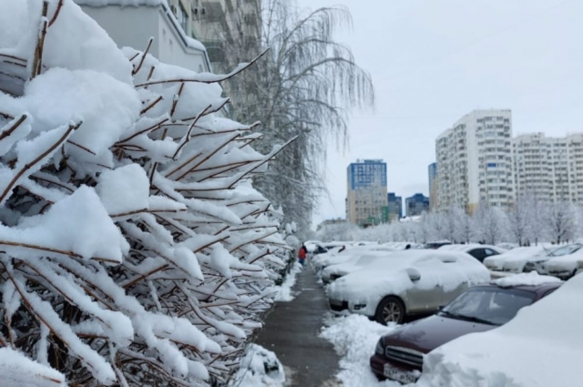    «Снег кружится, летает и тает».