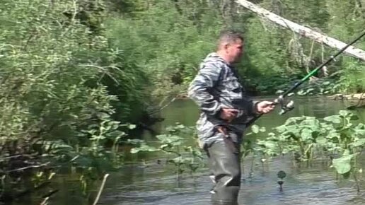 рыбки для аквариума. аквариум пхукета (phuket aquarium). китовая акула фото. кот с рыбой. часы охотника настенные.