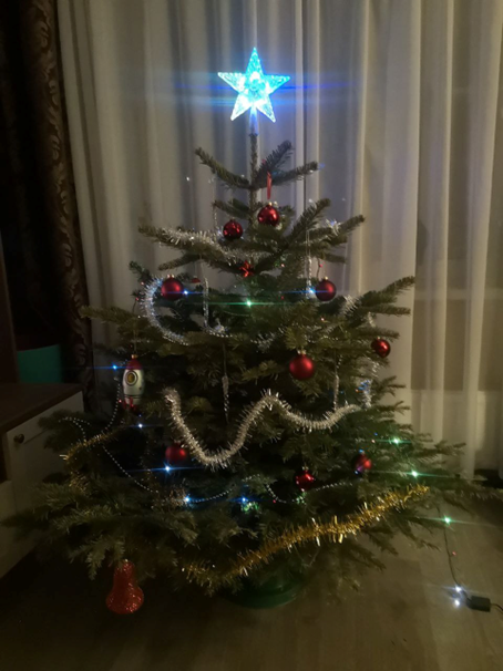 Елка сезона 21-22