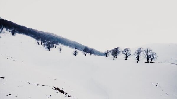    © Sputnik / Наталья Айриян