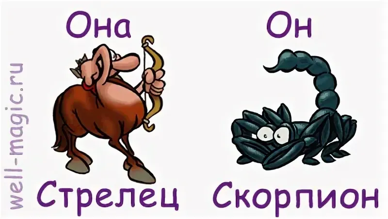 Девушка козерог мужчина скорпион. Скорпион и Стрелец. Скорпион и Стрелец совместимость. Скорпион Стрелец знак зодиака. Совместимость знаков зодиака Стрелец и Скорпион.