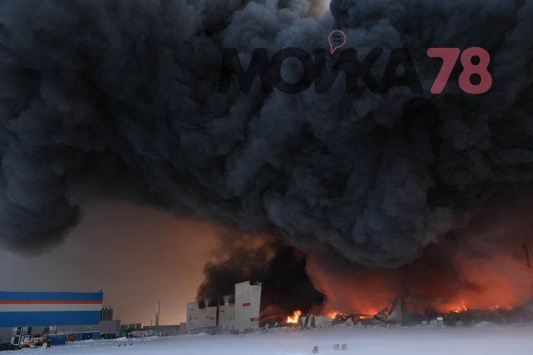    Фото: Baltphoto/ Николай Овсянников