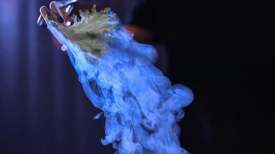 Фото: © РИА Новости/Владимир Песня