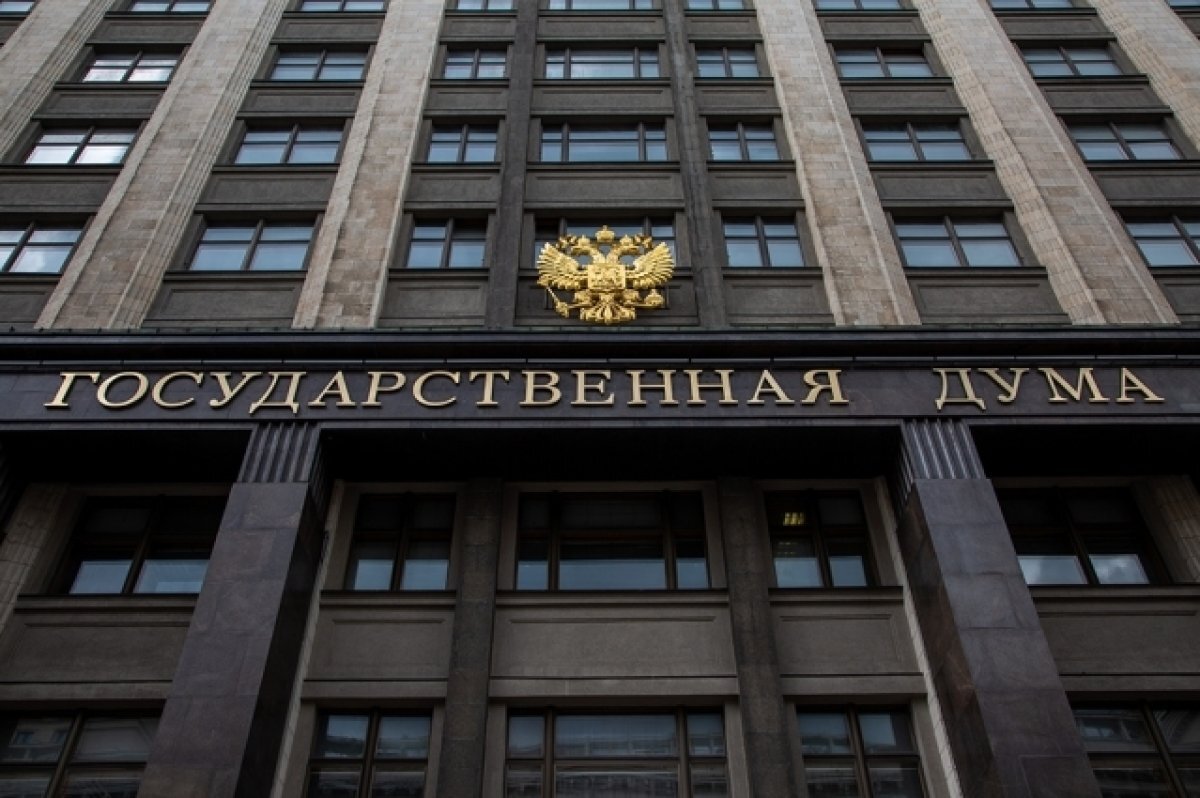    Инициативу нижегородских депутатов об абортах рассмотрят в Госдуме в марте