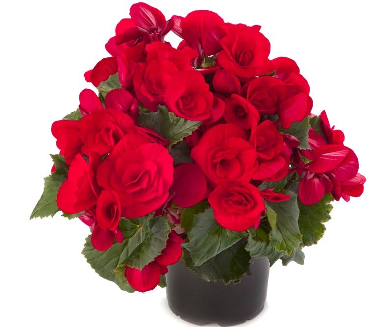 Фото из открытых источников.