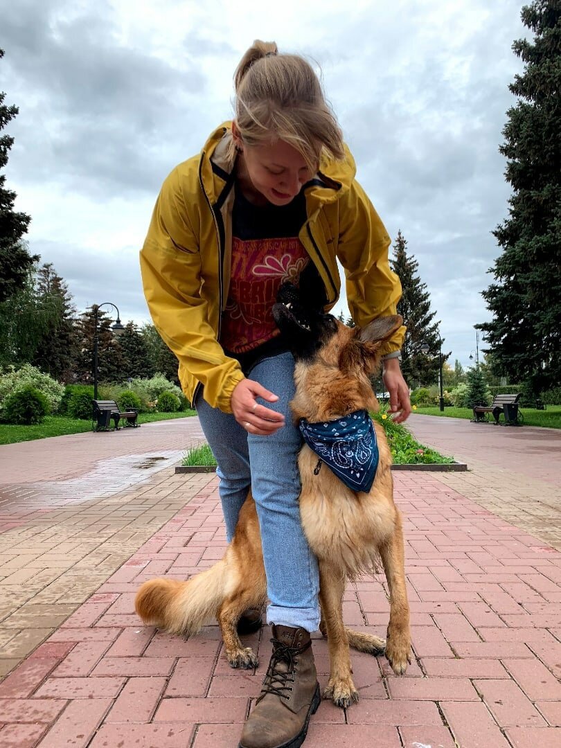 на выставке собак. выставки собак на 2022 год ркф. ркф россия 2022. выставка собак на казанской ярмарке. зоопортал.