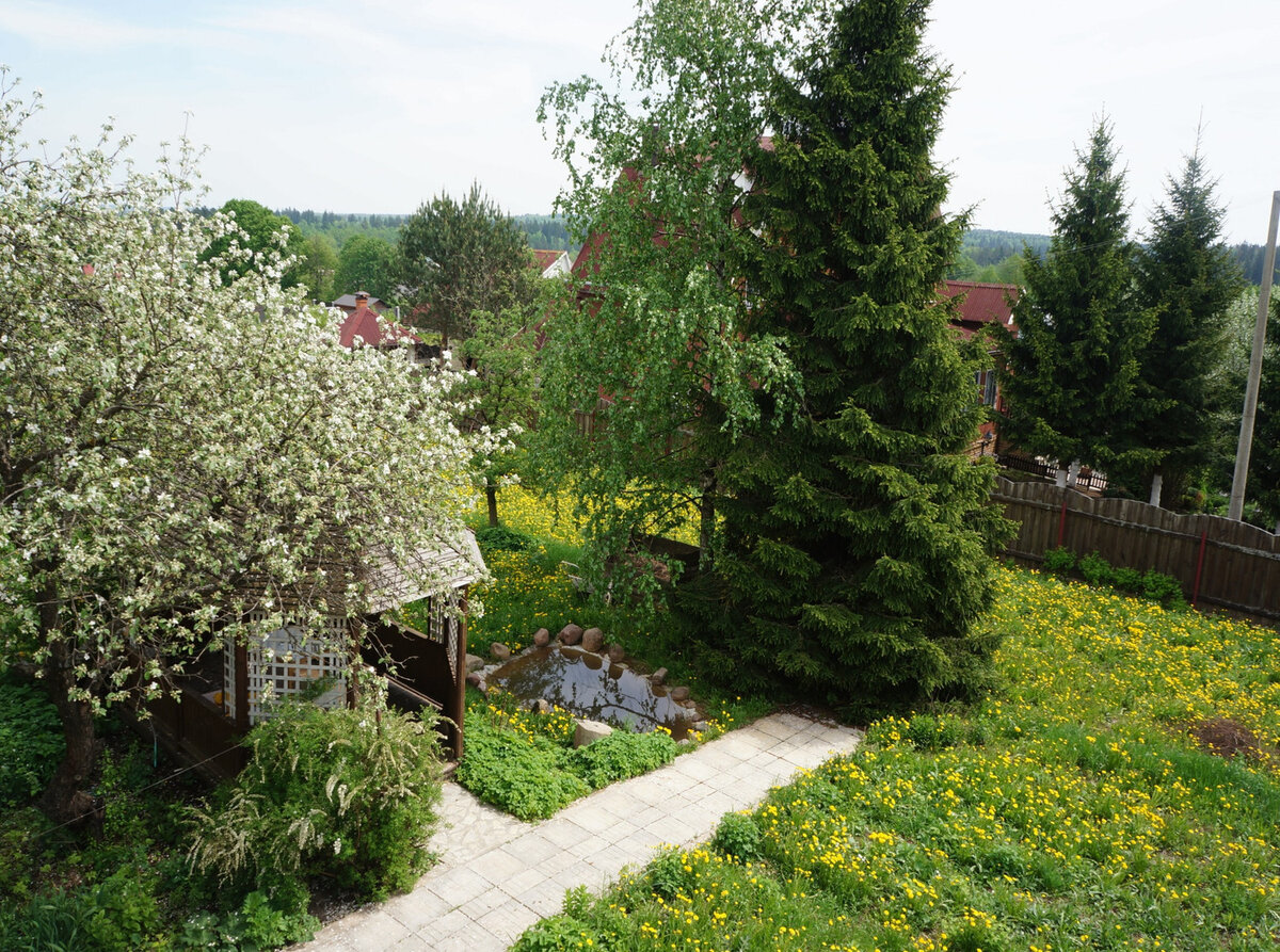 Участок ИЖС или СНТ: какой купить в Московской области?