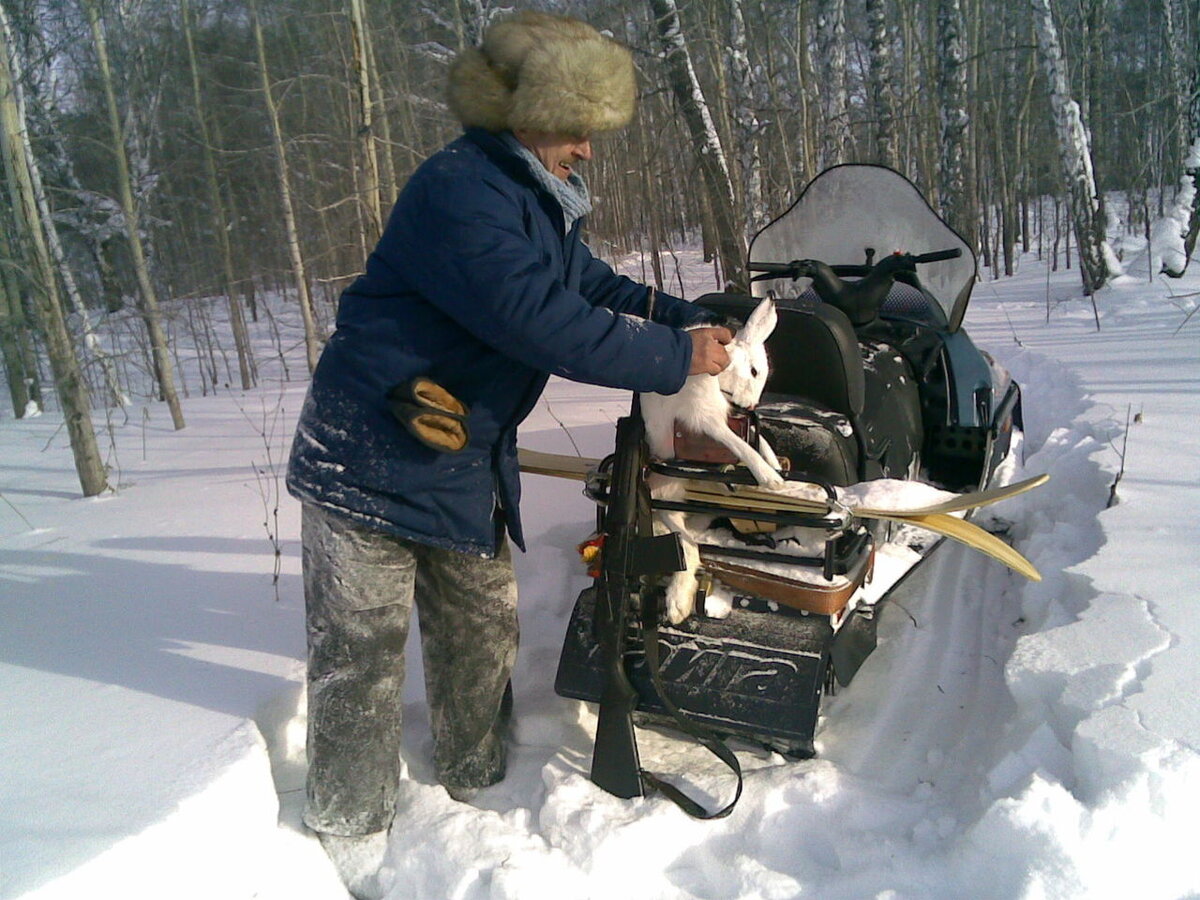 тайга чаща непролазная. заброшенные избы в тайге. мистические истории из реальной жизни. море тайги. монамур деревня в сибири.