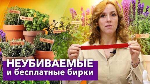 Чудо-бирки для растений делаю сама за пару секунд! Теперь всегда знаю, где и что растет