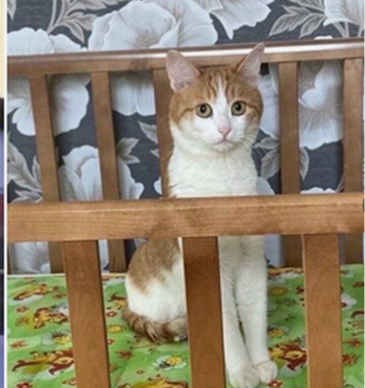 Фото с просторов интернета