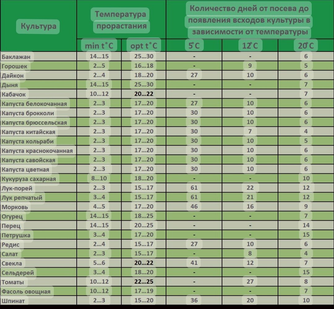 Сроки созревания в открытом грунте. Оптимальная температура для прорастания семян. Таблица всхожести семян овощных. Температура прорастания семян таблица. Таблица всхожести семян овощных культур.
