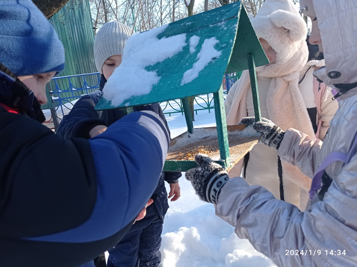 Эколого Познавательные маршруты Катунского заповедника