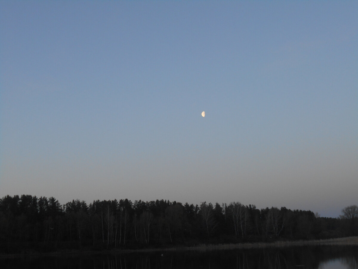 Archi газуй малой. Первый рассвет текст. Значение слова безрассудный. Дерзкий, безрассудный чем является данная пара слов. Первый рассвет текст.