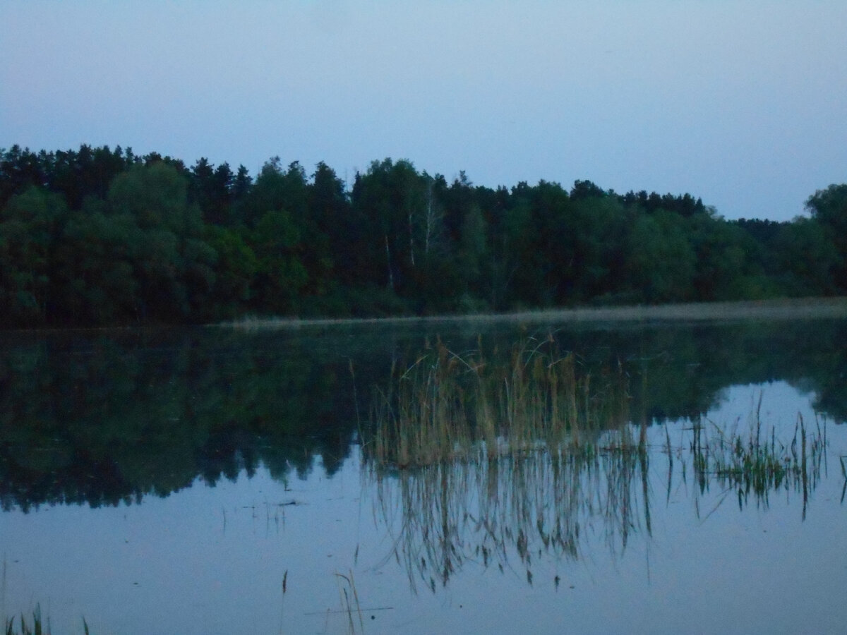 Волга река. Simbiblis. Волжские рассветы и закаты дзен. Закат на волге ульяновск. Рассвет в волжском.