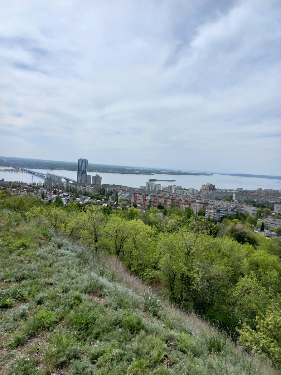 Сняться с учета нпд что это. Система налогообложения в личном кабинете ип. Снятие ип с учета в налоговой. Сняться с учета нпд что это. Сняться с учета нпд что это.