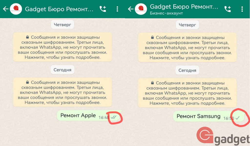 Причины, по которым не доставляются сообщения в WhatsApp