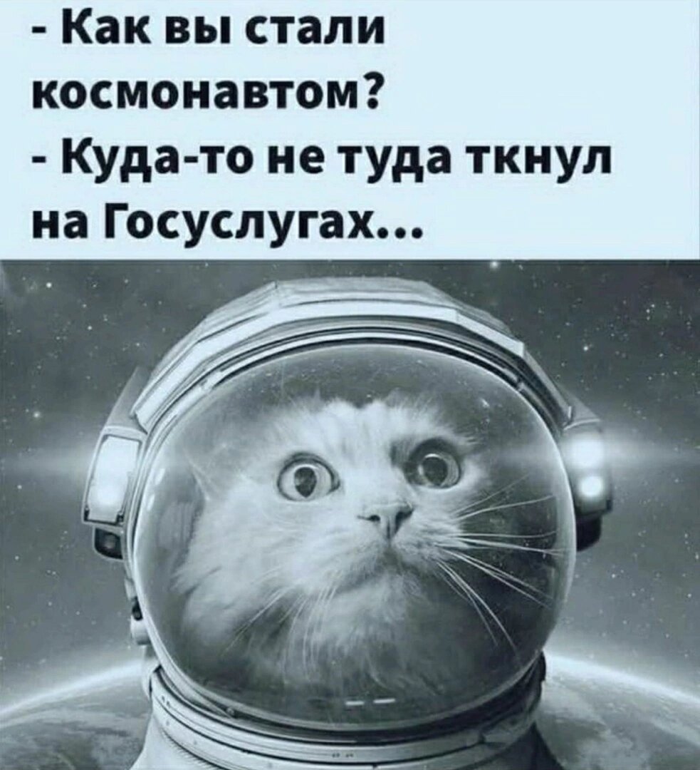 Фото с просторов интернета 