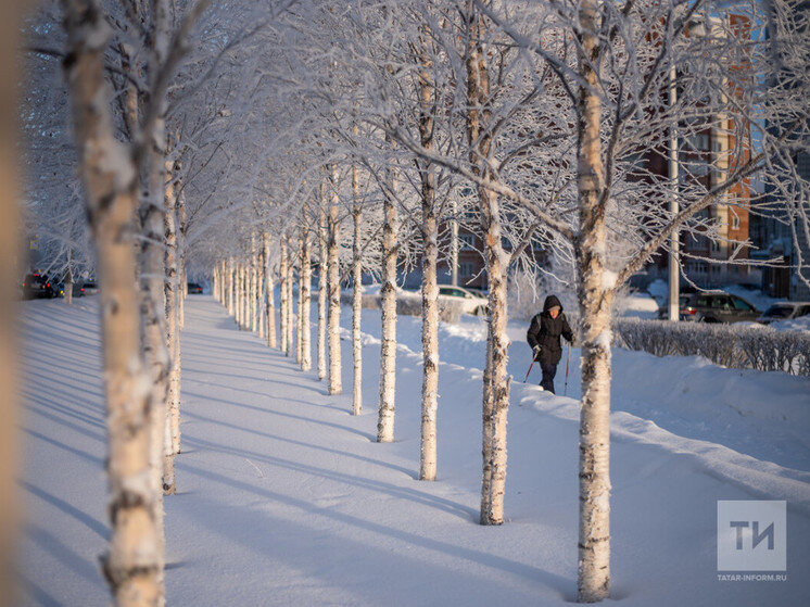 погода в казани на выходные. среднегодовая температура в красноярске. погода за две недели в казани. краснодар температурный режим. климатическая диаграмма самары.