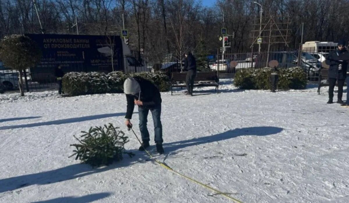 Участник конкурса по метанию елок. Источник: rostov.aif.ru Автор фото: Полина Толчеева 