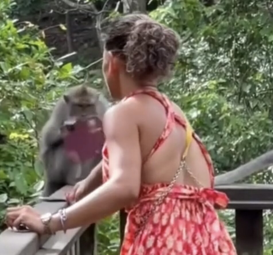 Девушка пытается забрать свой паспорт.