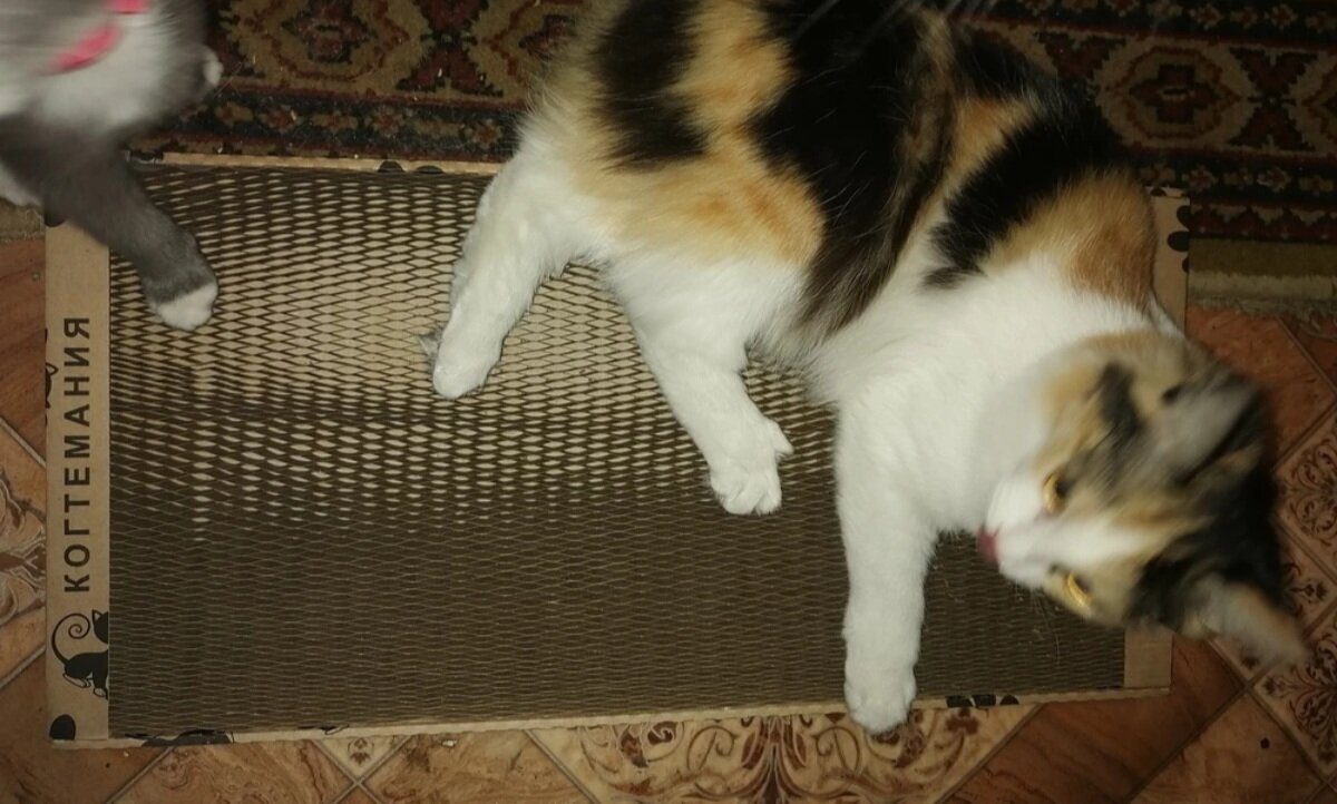 Печали радости надежды фильм 1 серия. Если вам нужна надежда и толчок. Большие надежды сериал 2019. Обманутые надежды турецкий сериал. Довольно надежды.