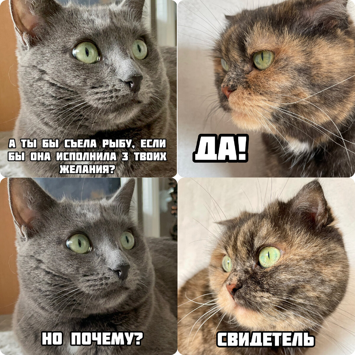 Закон это кратко. Закон определение. Общество это кратко. Регламент это нормативный документ. Что такое о тех.