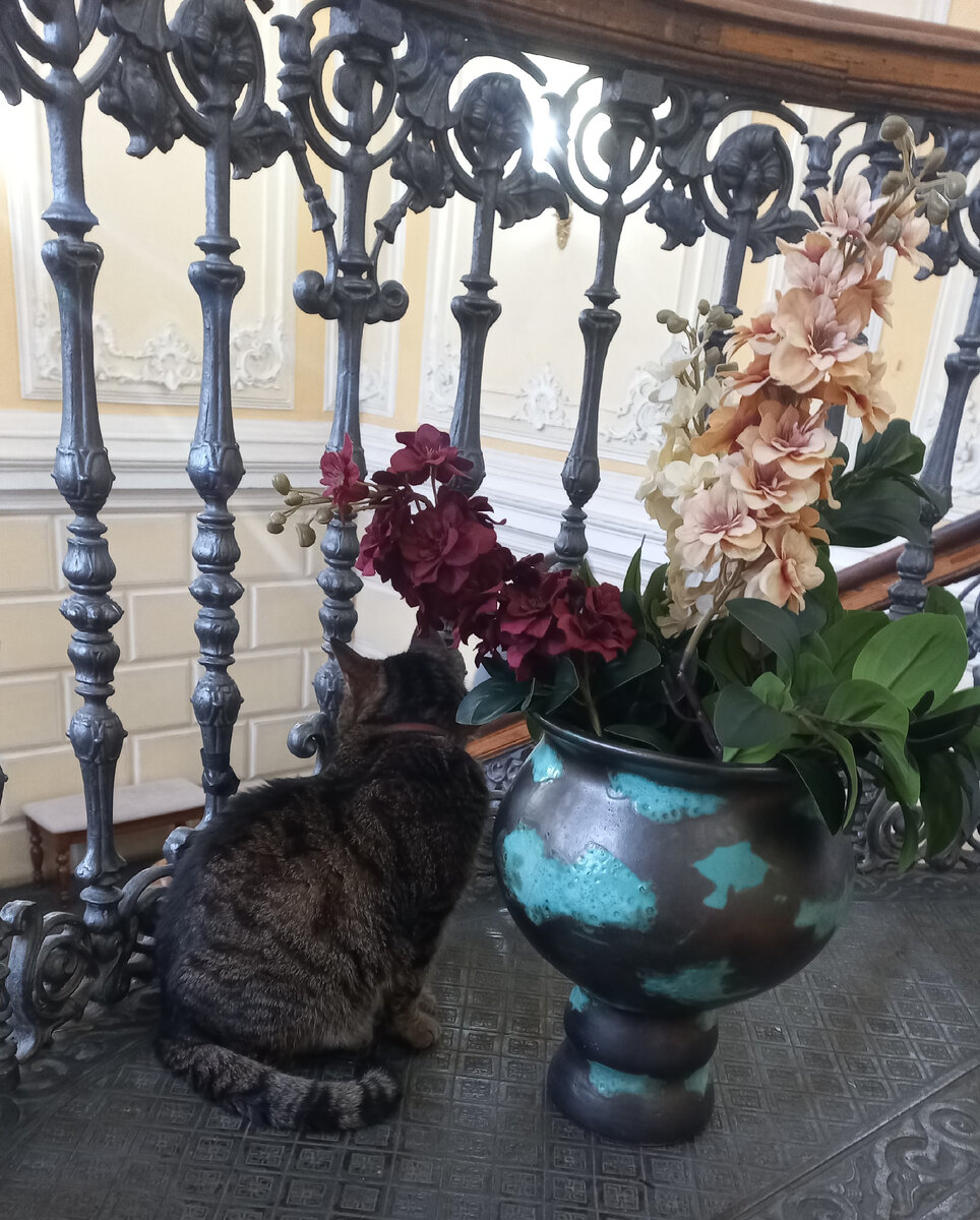 Вот такой чудесный котейка встречает посетителей Фото автора