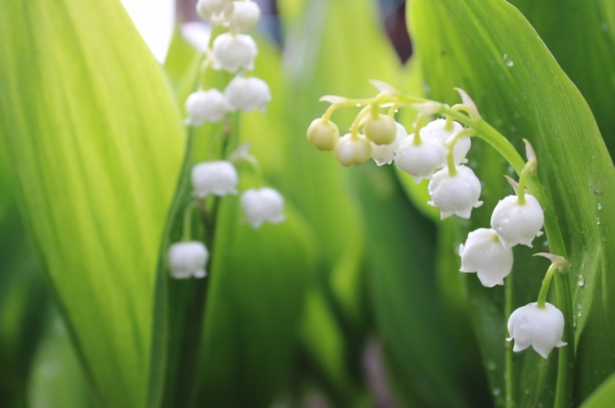    Тюменский ученый рассказал, какой будет весна 2024 года