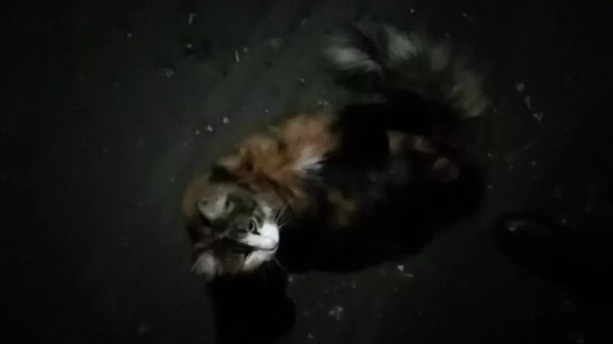     Притом, убийство произошло при детях