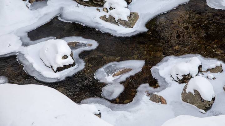 ФОТО: JAN EIFERT/GLOBALLOOKPRESS
