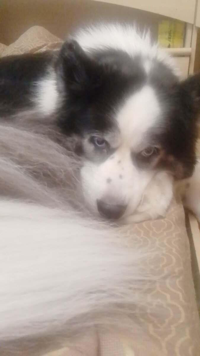 Мать, ты чего? 