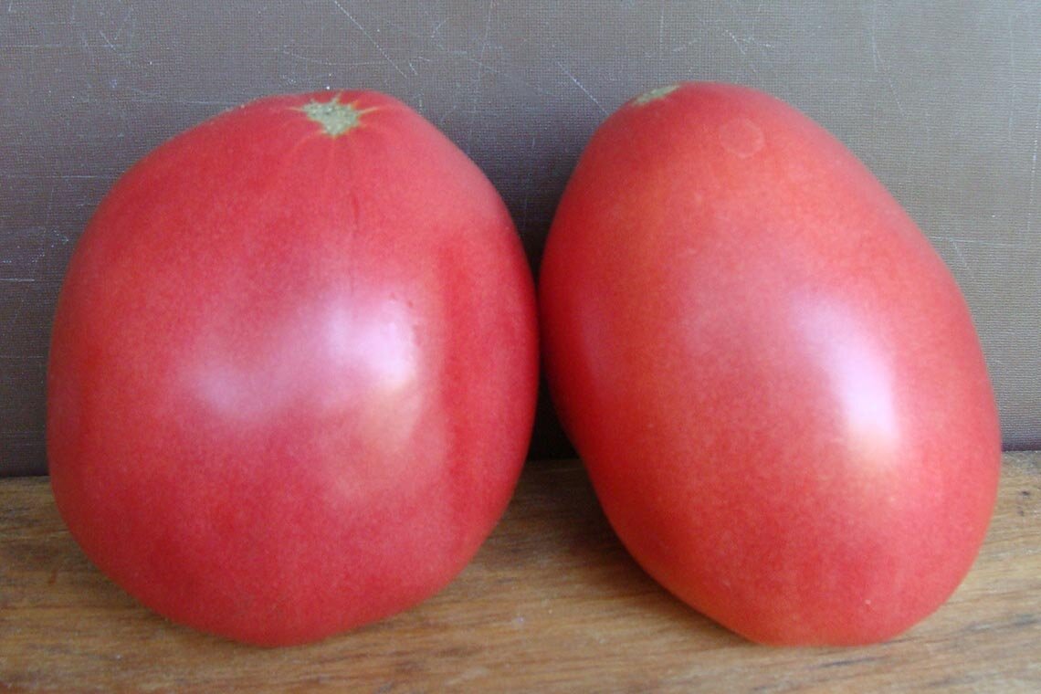 Груша описание сорта. Какой сорт посадить на урале. Какой сорт посадить на урале. Гортензия древовидная блюберд. Черешня сорт генеральская.