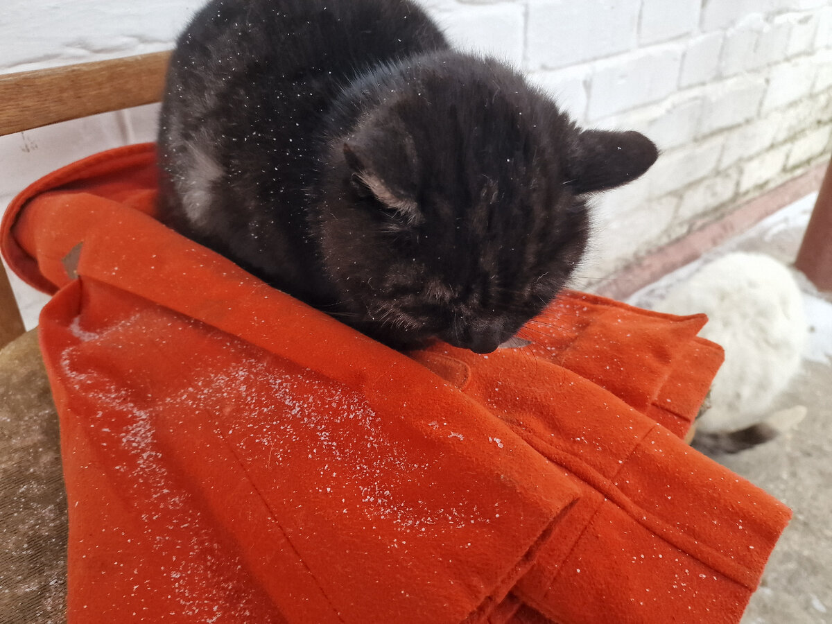 Причем тут. Казалось бы причем тут. Причем тут 2. Причем тут 2. Причем здесь украина.