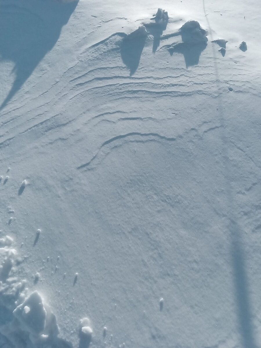 расписание кабинета маммографии. часы работы маммографии. часы работы маммографии. часы работы маммографии. маммография ржд.