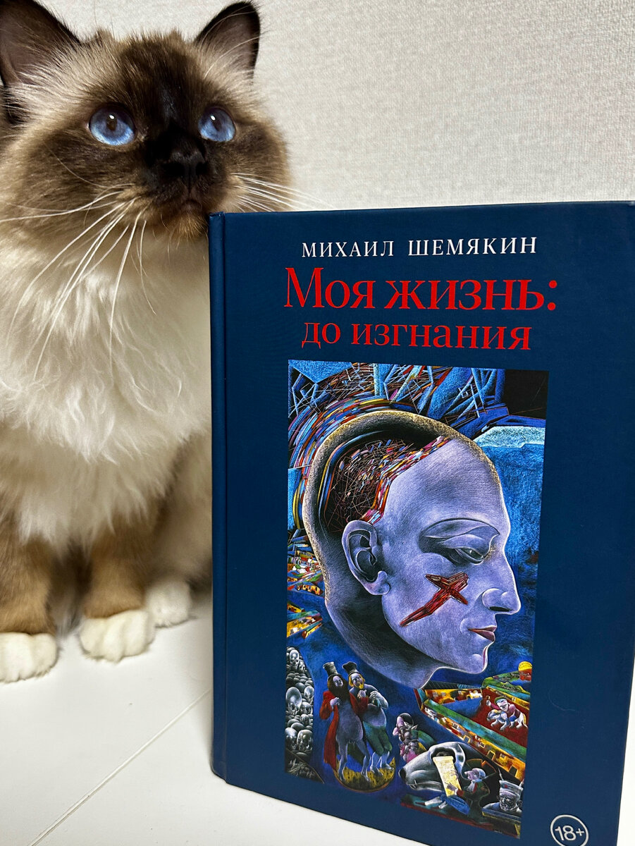 Рассказ везунчик текст. Герои крайних рубежей 2: тернистый путь вниз. Низший 11 дем михайлов. Читать тернистый путь к трону. Восхождение на трон обложка.