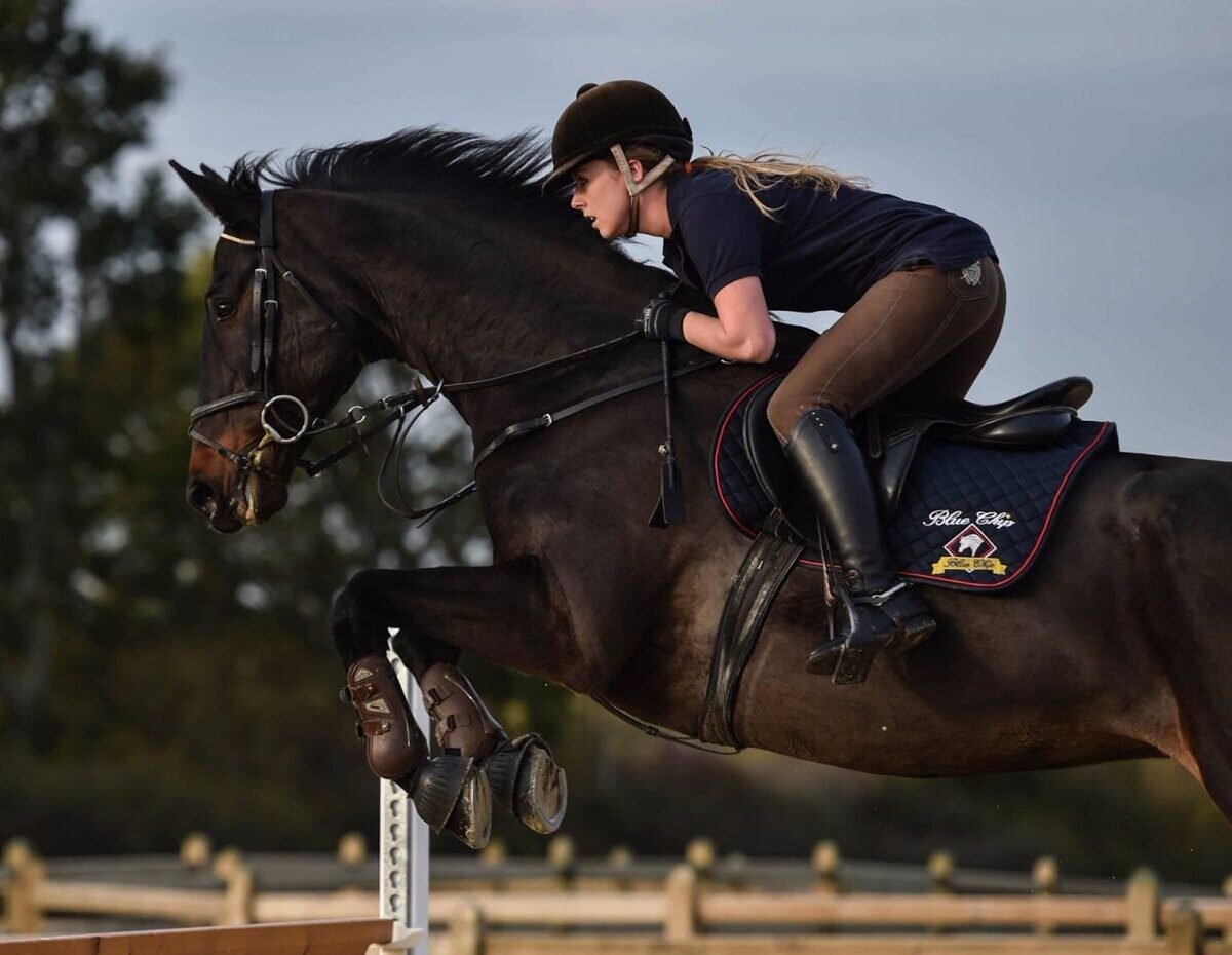 Horse sport. Троеборье конный спорт Эстетика. Эстетика конного спорта конкур. Конный троеборье конкур. Эквестриан Стокгольм конкур.