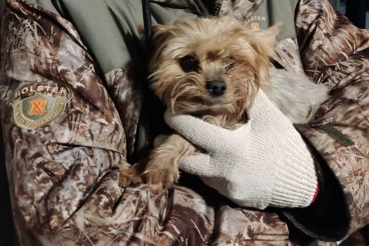 О начала до конца фильм. Игра age of empires 2. Полную версию от начала до конца. Стронгхолд 5. От начала до конца.