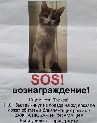 https://ru.images.search.yahoo