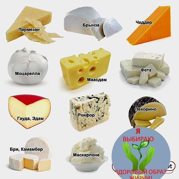 ❓В чем преимущества сортов сыра? 🧀МОЦАРЕЛЛА — мягкий сыр, в котором меньше натрия и калорий, чем в других сырах.  Он также содержит пробиотики, которые помогают укрепить иммунную систему. 🧀СЫР С ГОЛУБЫМИ ГРИБАМИ – имеет характерные синие или серые прожилки и острый вкус.  Обогащенный кальцием, он способствует здоровью костей и предотвращает остеопороз. ⠀ 🧀ФЕТА – богат кальцием, содержит рибофлавин, который нормализует репродуктивную функцию, регулирует деятельность щитовидной железы. ⠀ 🧀Зернистый сыр (Крупнозерновой творог) – Богат витаминами, минералами, антиоксидантами.  Имеет очень низкую калорийность. 🧀ПАРМЕЗАН — сыр с низким содержанием лактозы, богатый кальцием и фосфором, который способствует укреплению костей.