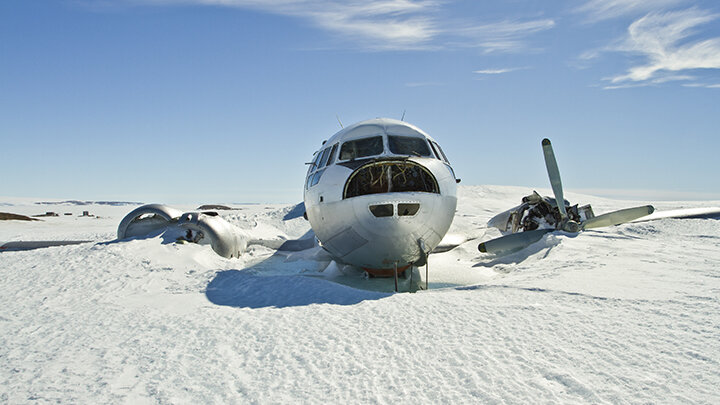 Фото: Sergey 402/Shutterstock.com